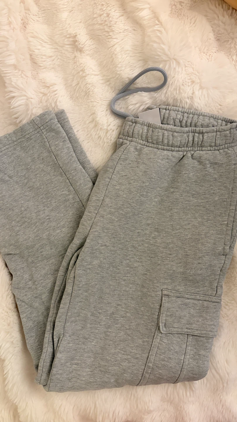 Aritzia Sweatfleece Cozy Fleece Mega Fit Pants