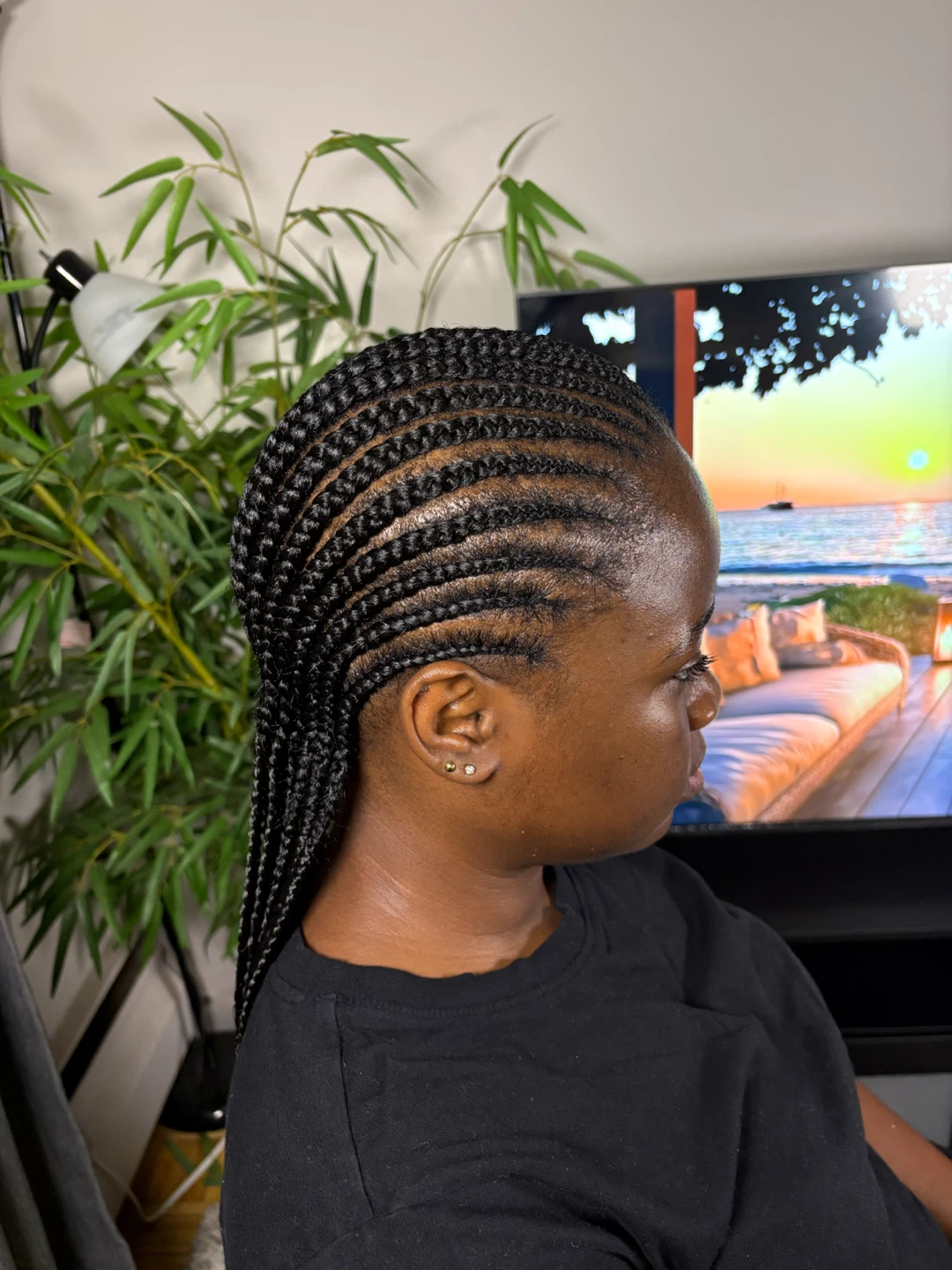 Cornrow Braids Hairstyle