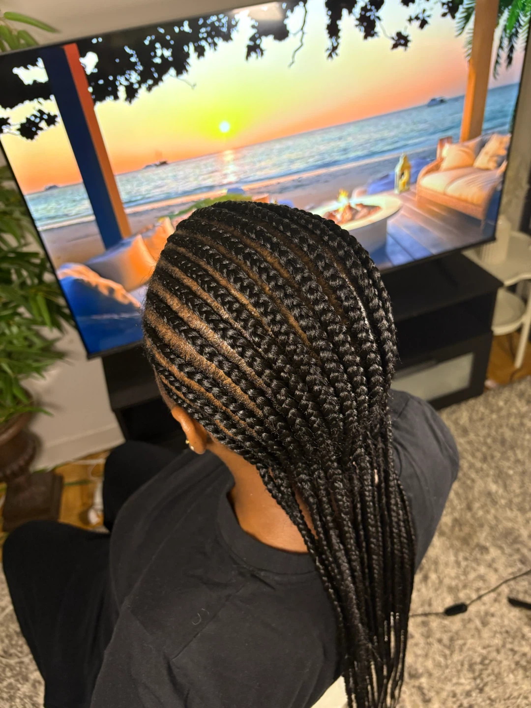 Cornrow Braids Hairstyle - photo 3