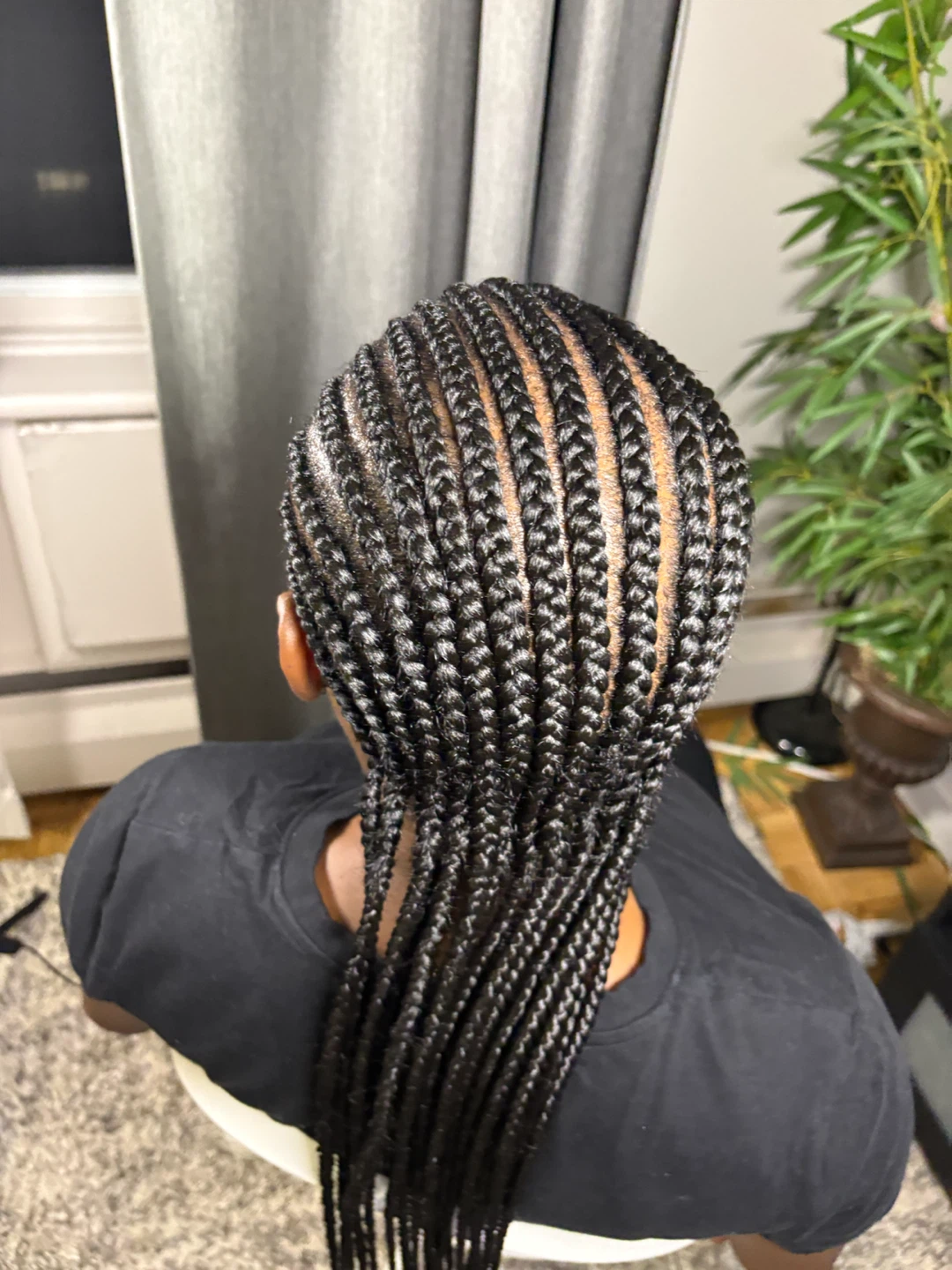 Cornrow Braids Hairstyle - photo 4