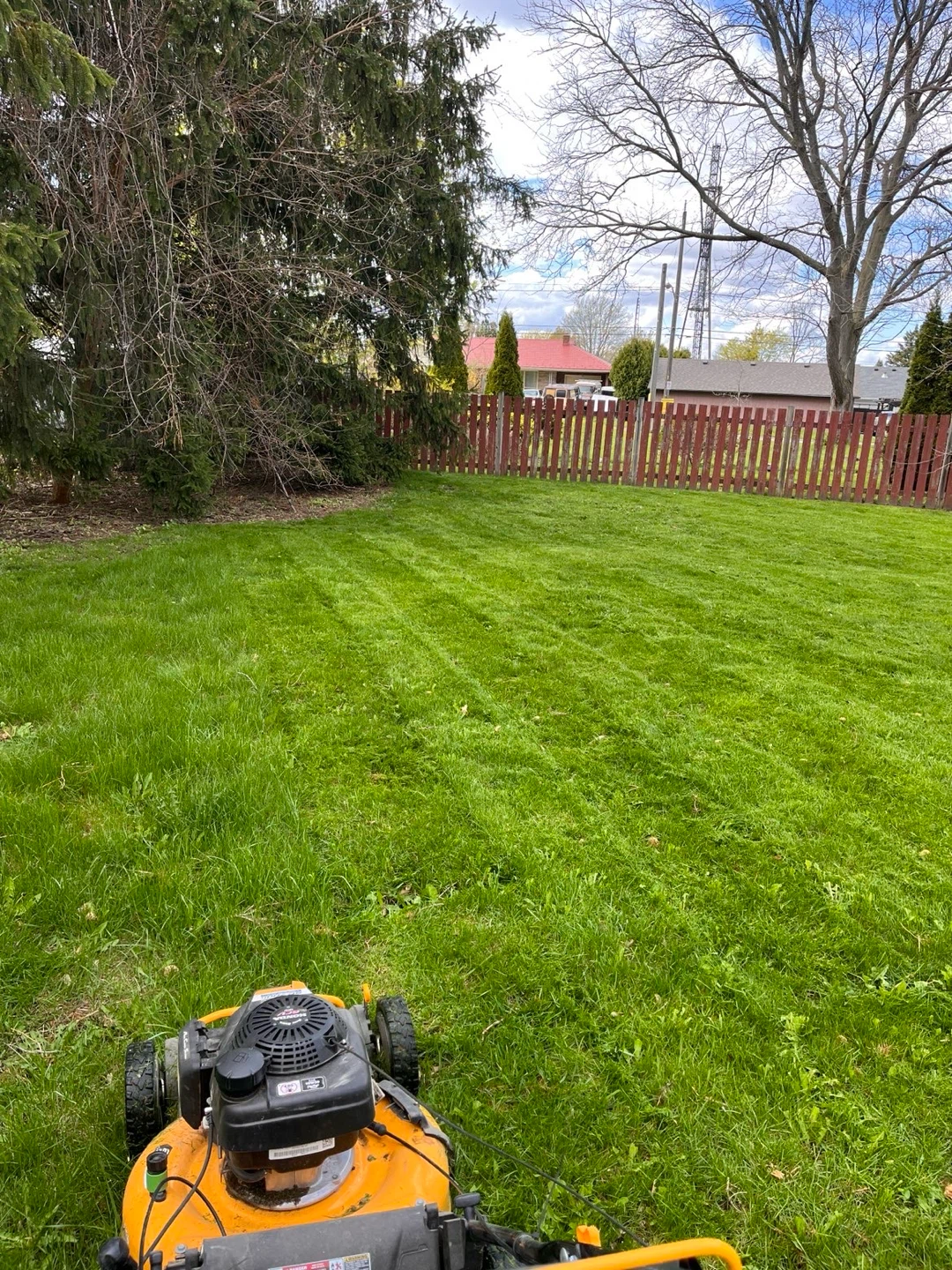 LAWN MOWING AND GARDEN MAINTENANCE