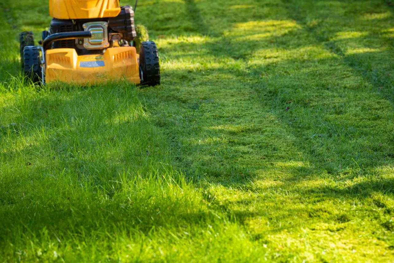 LAWN MOWING AND GARDEN MAINTENANCE - photo 3