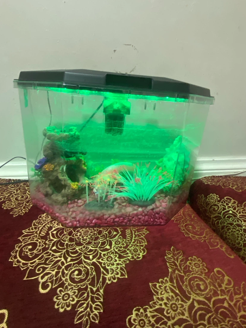 Fish tank