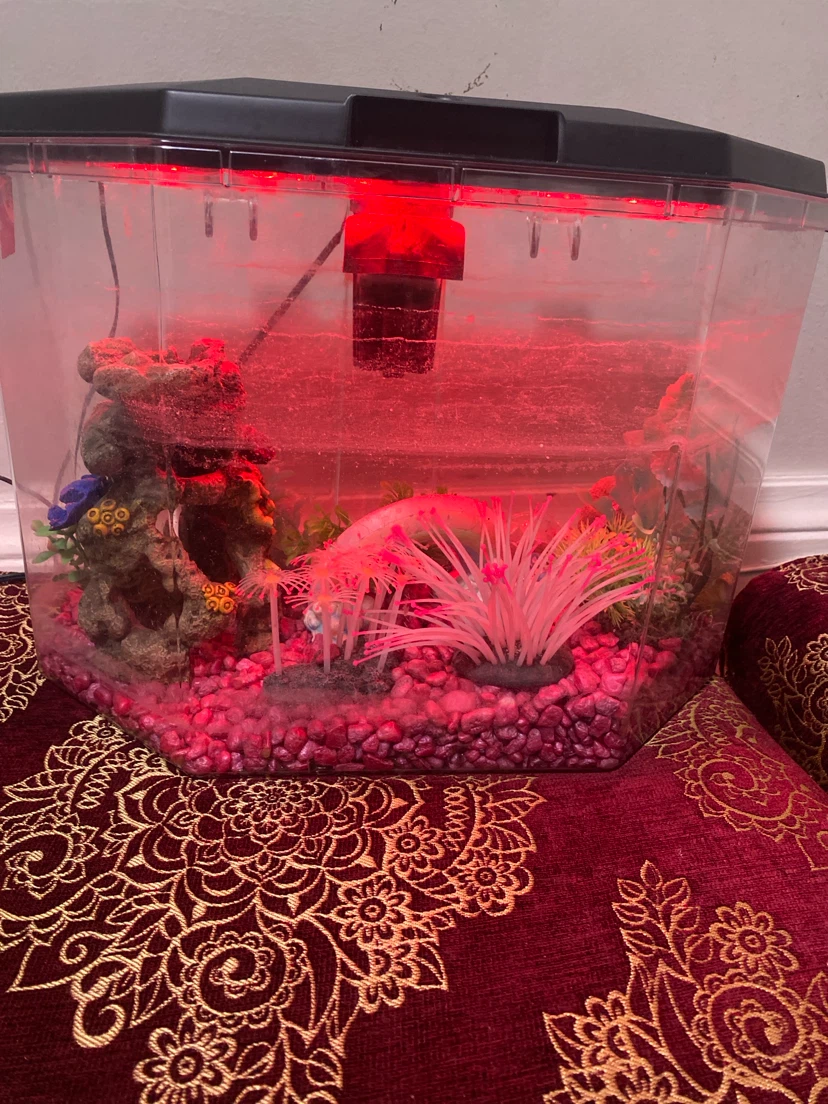 Fish tank - photo 2