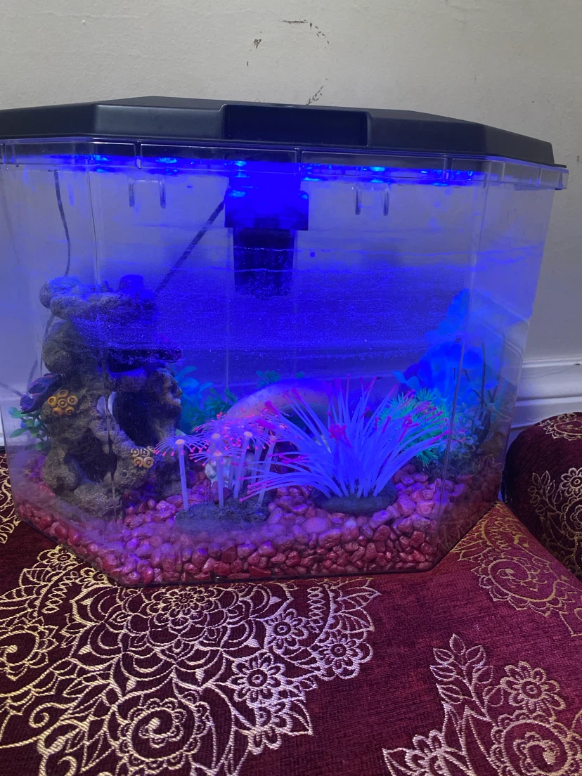 Fish tank - photo 3