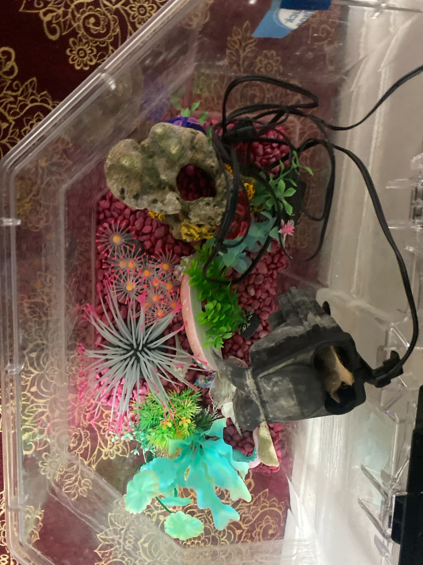 Fish tank - photo 4