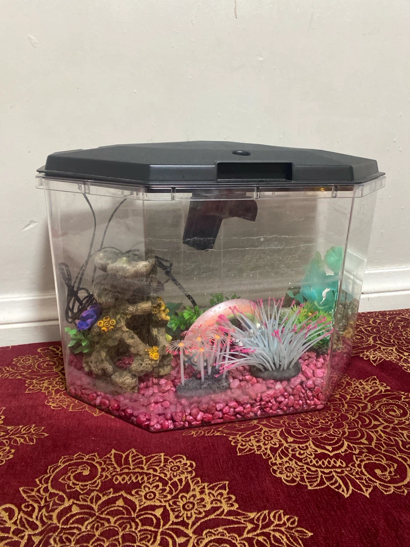 Fish tank - photo 5