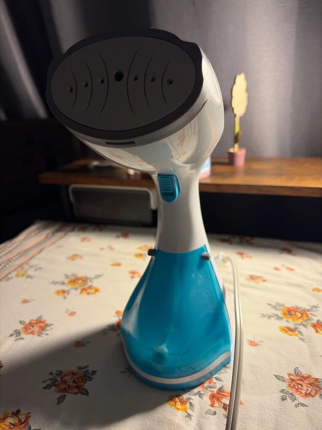 Handheld Clothes Steamer