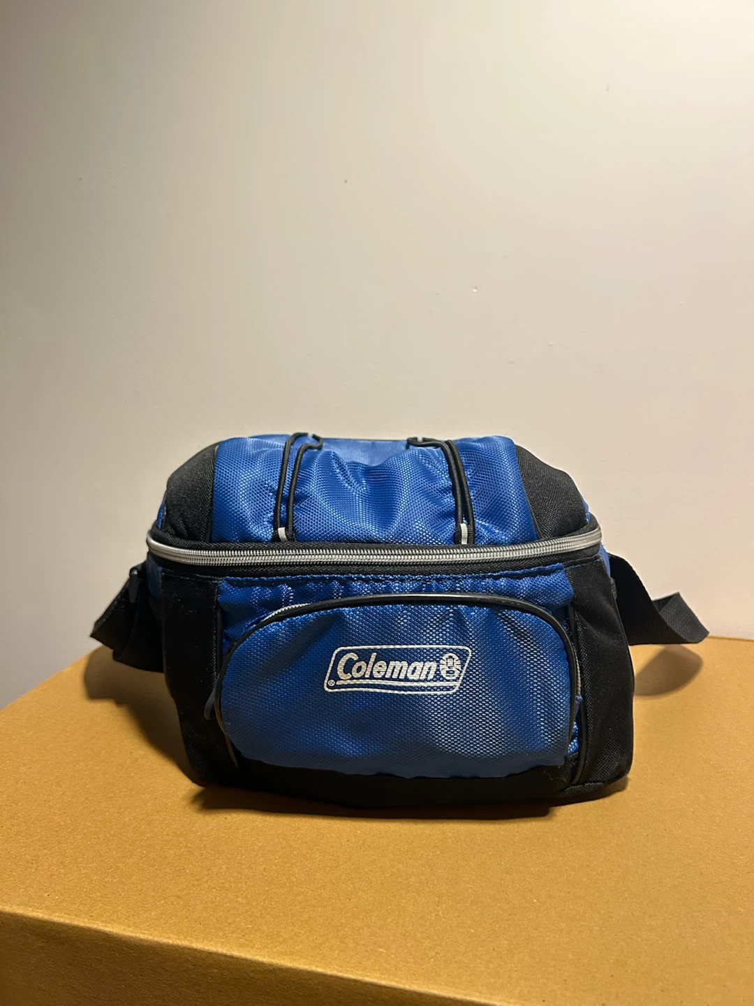 Coleman Blue Cooler Bag