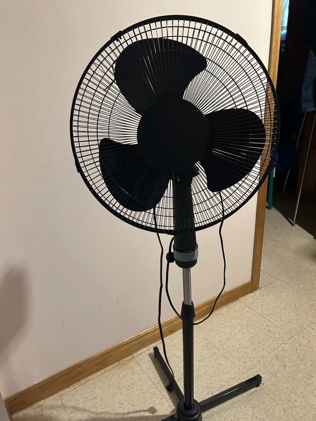 Black Oscillating Pedestal Fan