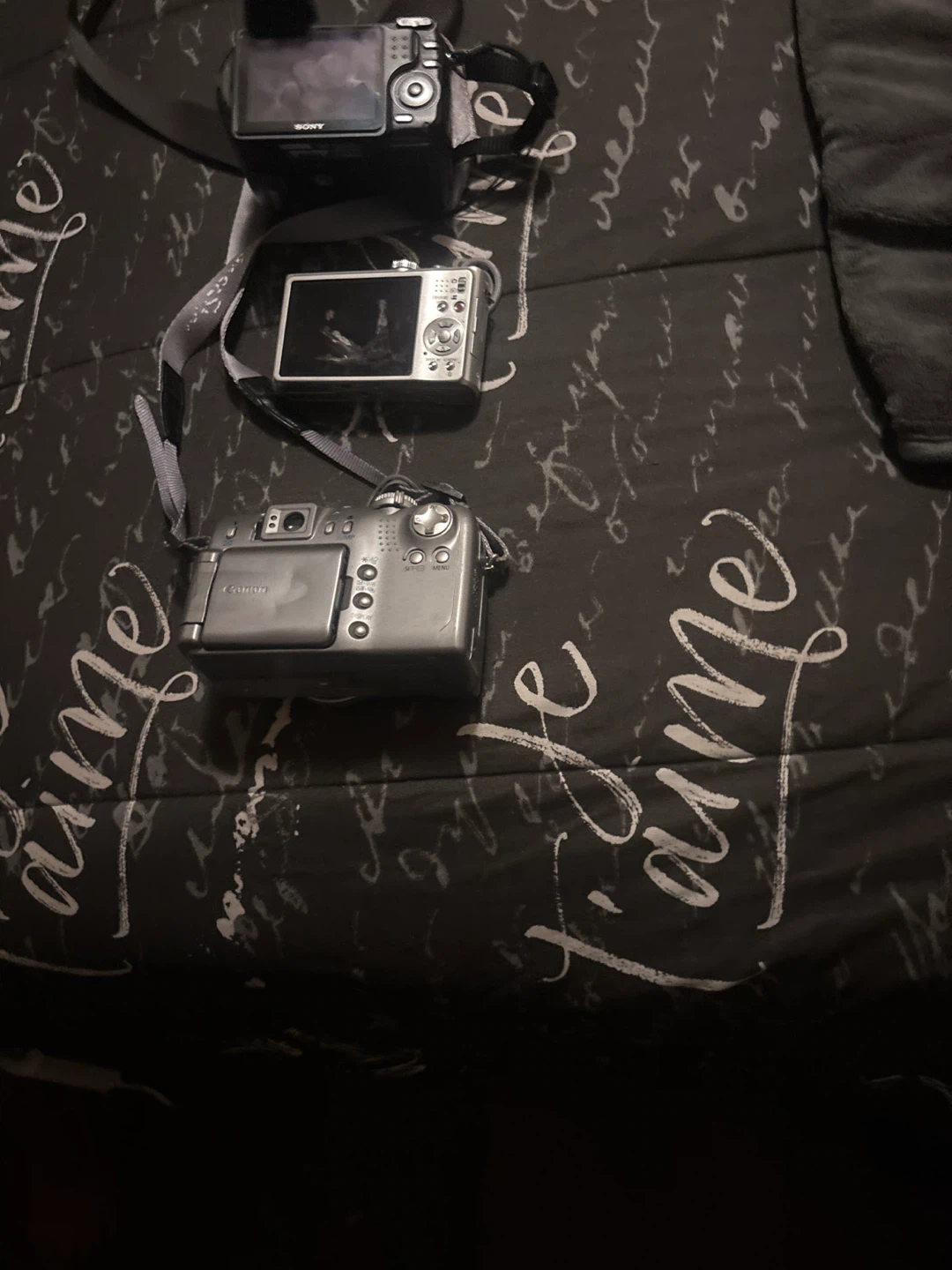 Sony and Canon Digital Cameras - photo 2