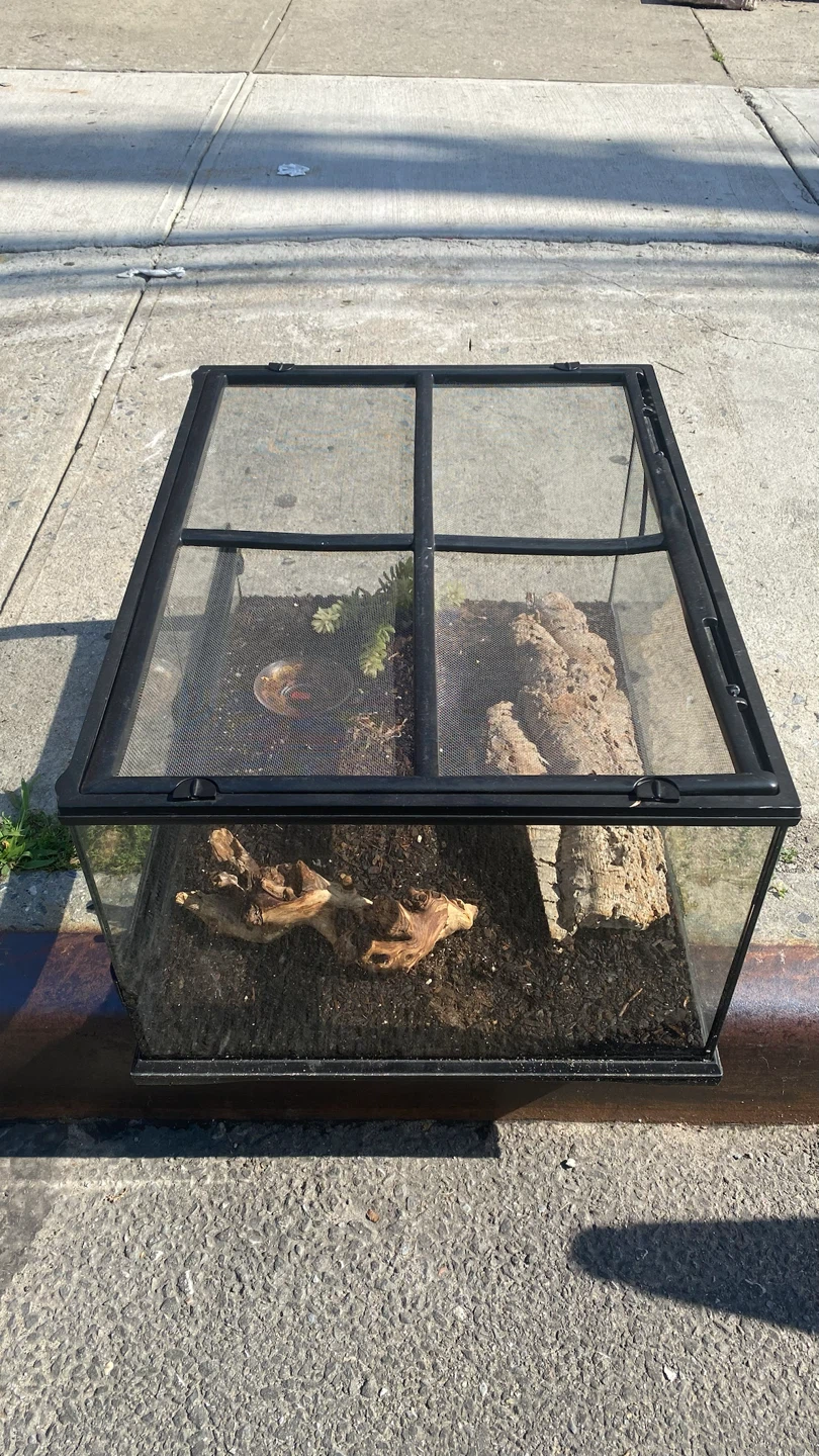 Glass Terrarium with Screen Lid - photo 2