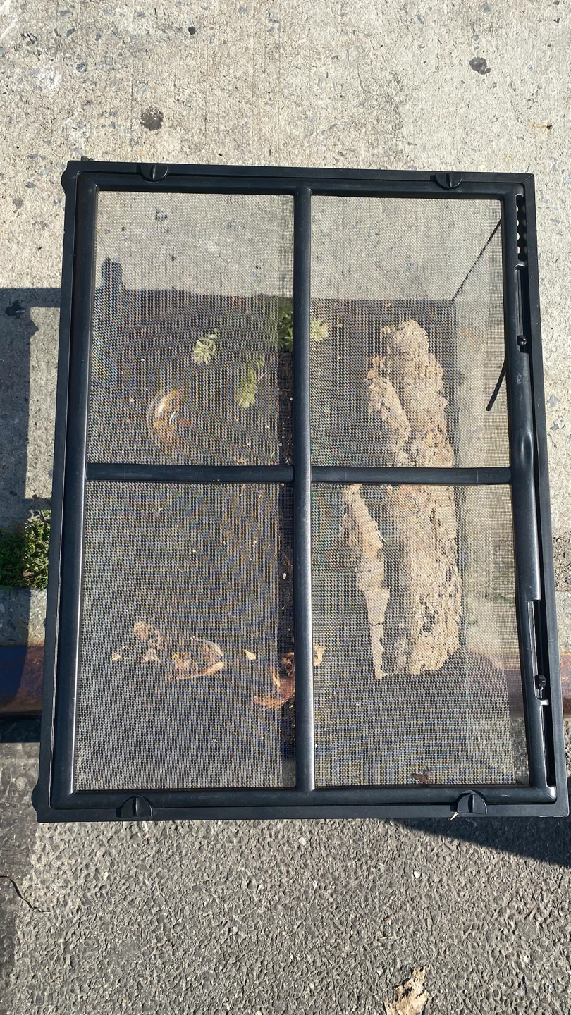 Glass Terrarium with Screen Lid - photo 3