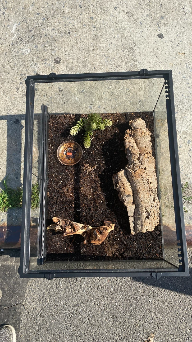 Glass Terrarium with Screen Lid - photo 4