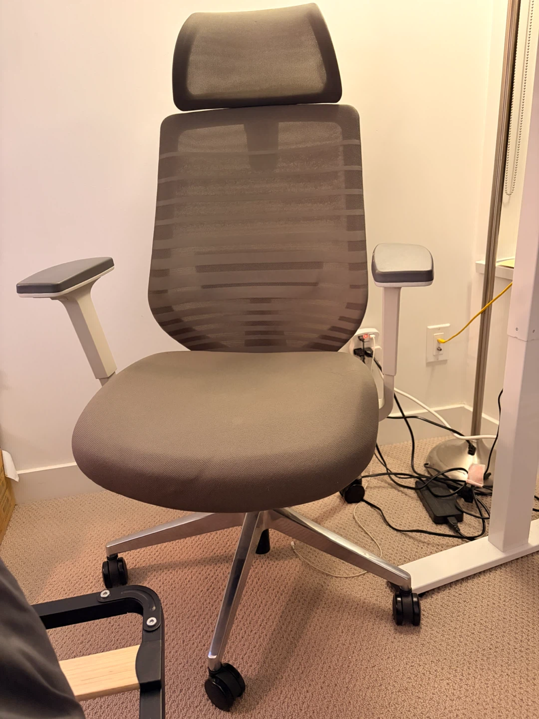 Branch Ergonomic Mesh Office Chair