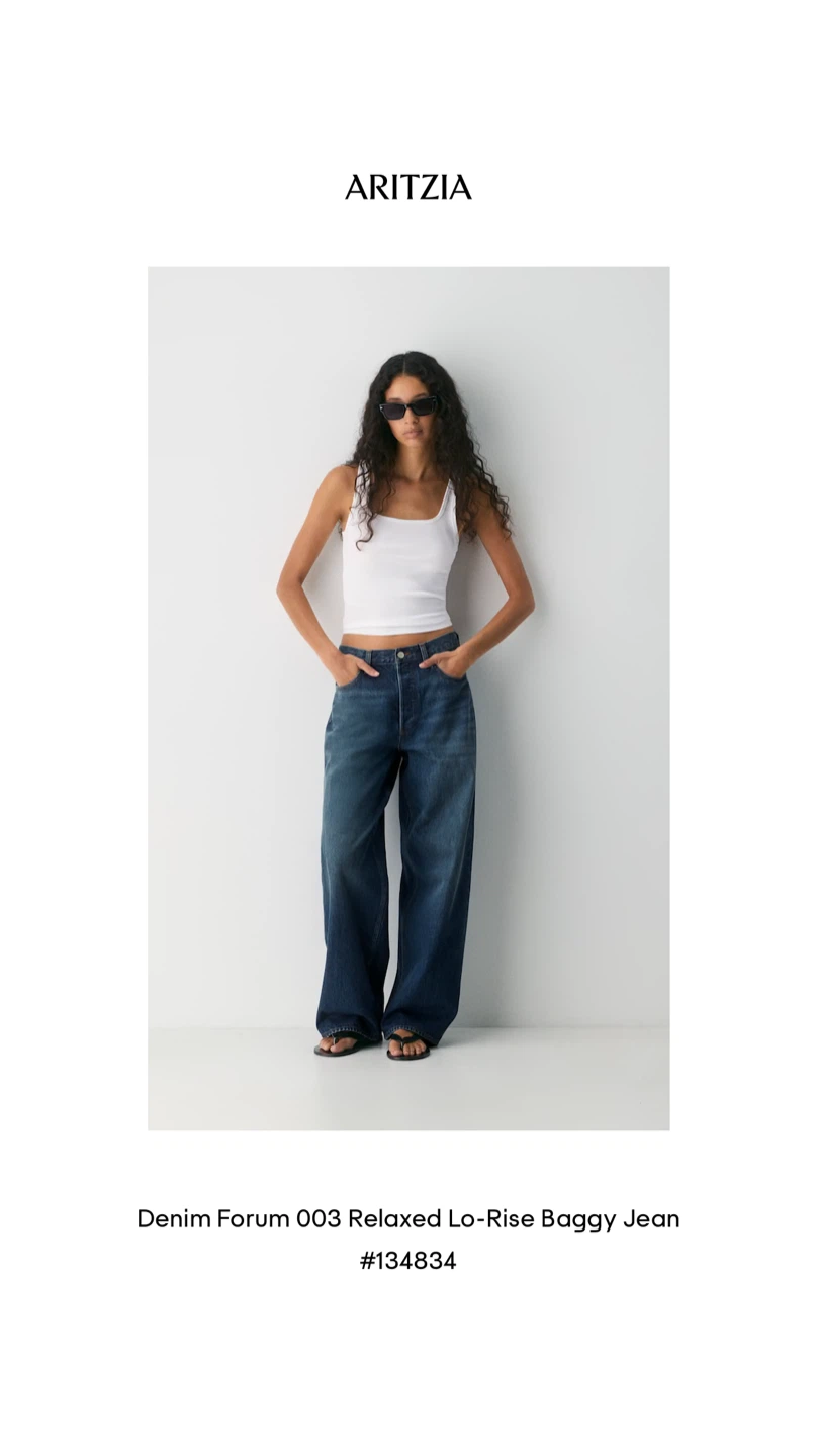 Aritzia Denim Forum 003 Relaxed Lo-Rise Baggy Jeans