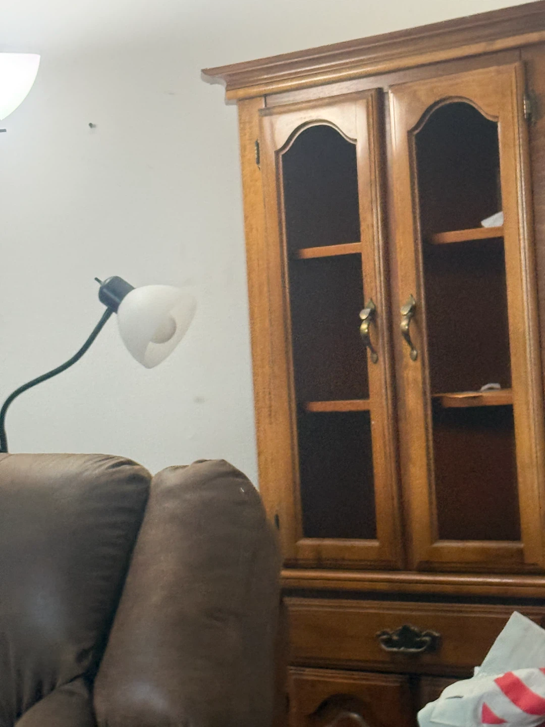 Wooden Display Cabinet with Glass Doors