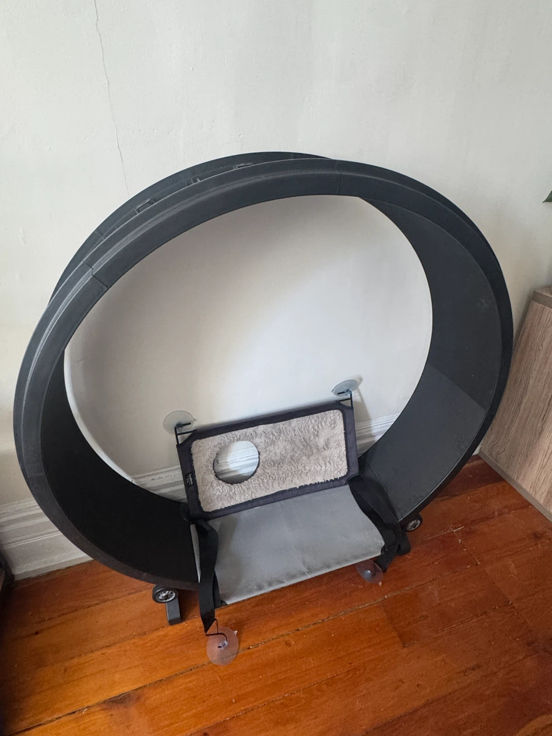 Black Cat Running Wheel and Window Perch Hammock