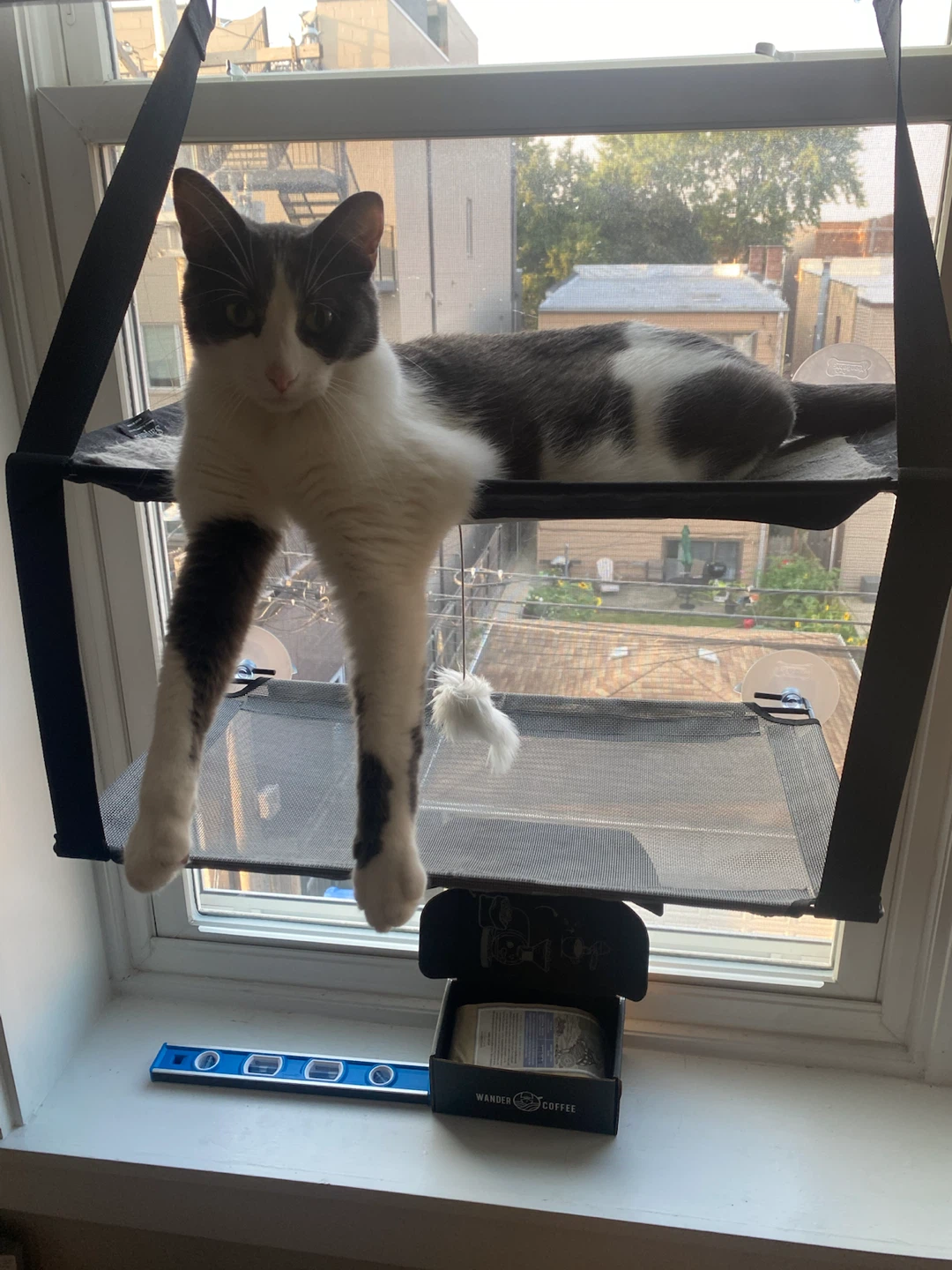 Black Cat Running Wheel and Window Perch Hammock - photo 3