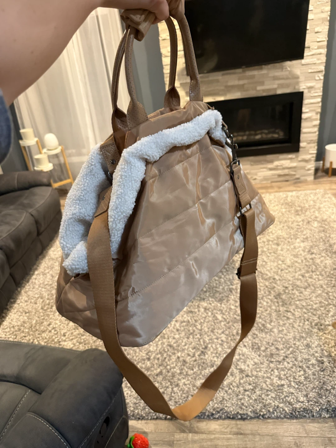 Pet Travel Bag