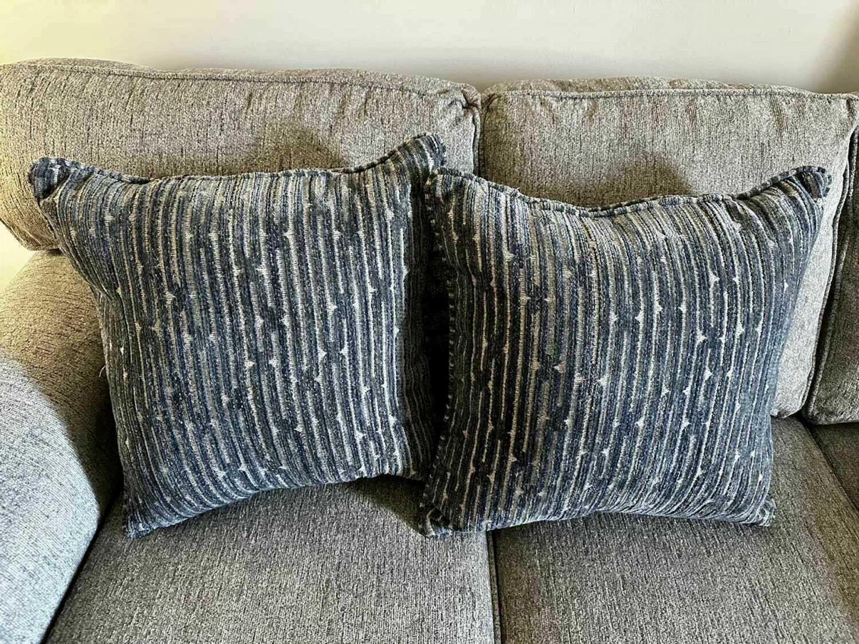 Decorative Throw Pillows (Set of 2)