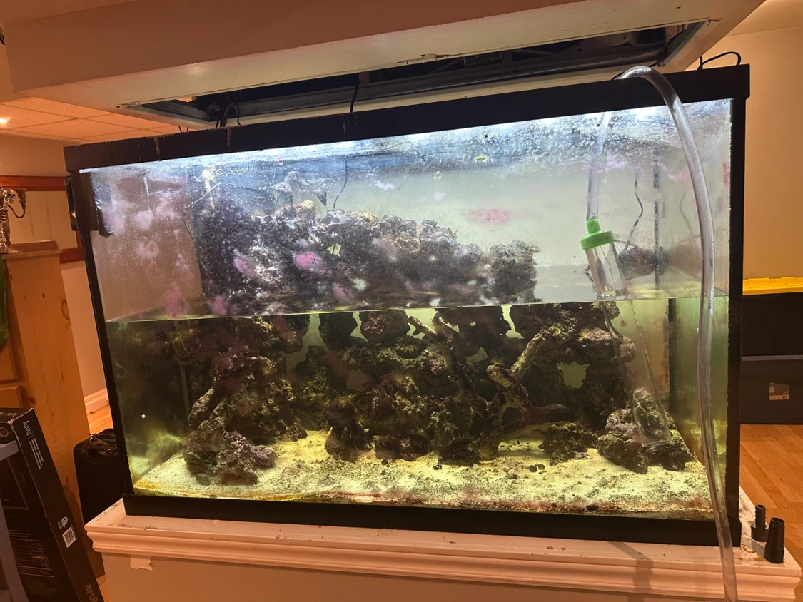 120 Gallon Large Salt water Aquarium with Live Rock and Sand