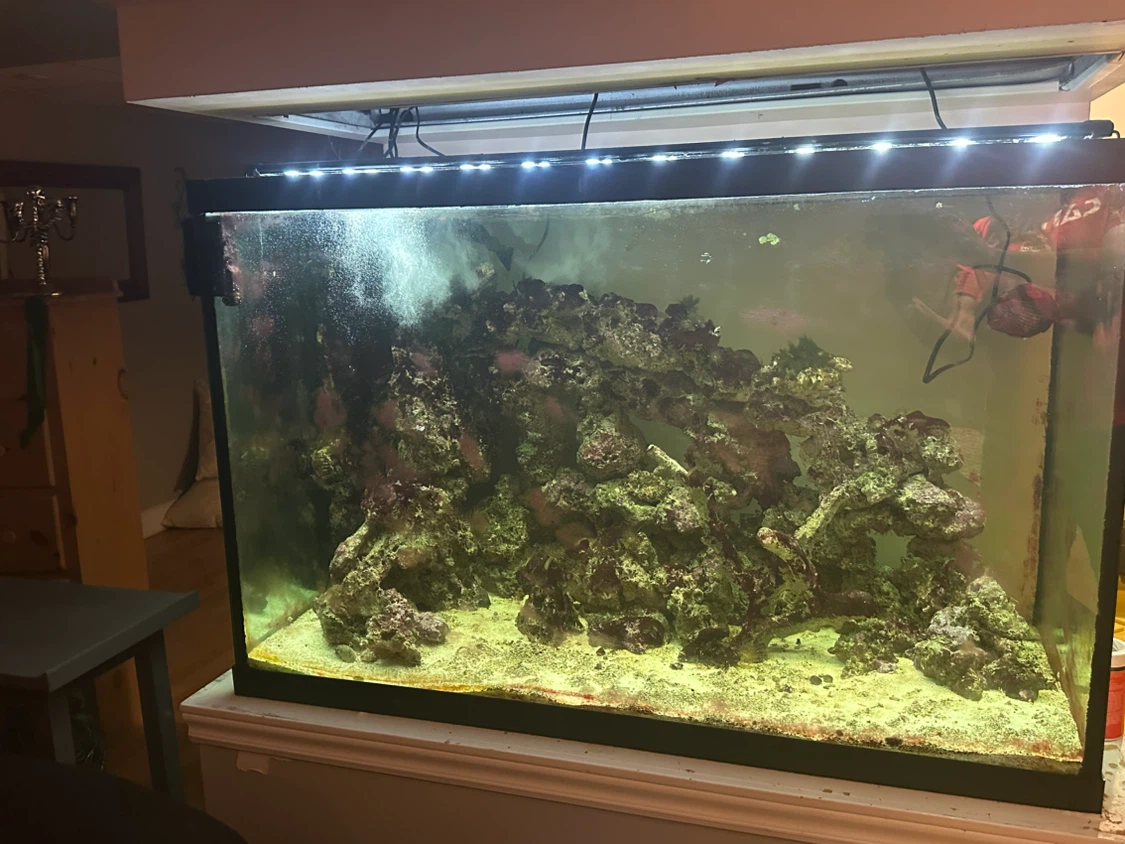 120 Gallon Large Salt water Aquarium with Live Rock and Sand - photo 2