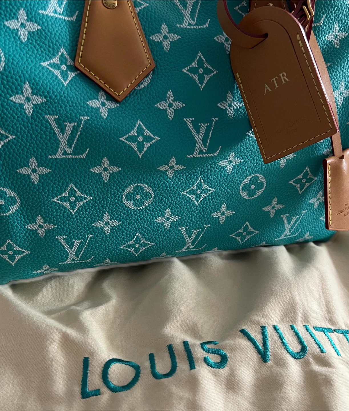 Louis Vuitton Speedy Bag