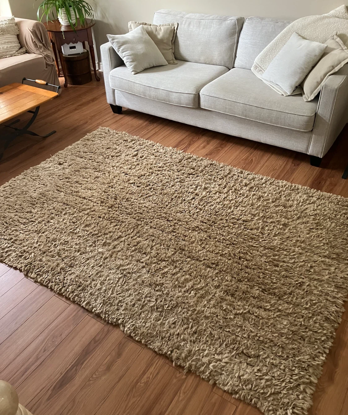 Shaggy Beige Area Rug