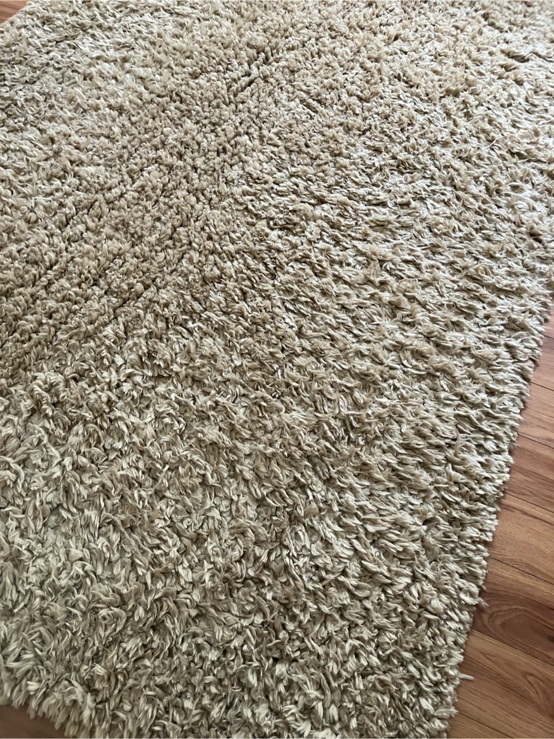 Shaggy Beige Area Rug - photo 2