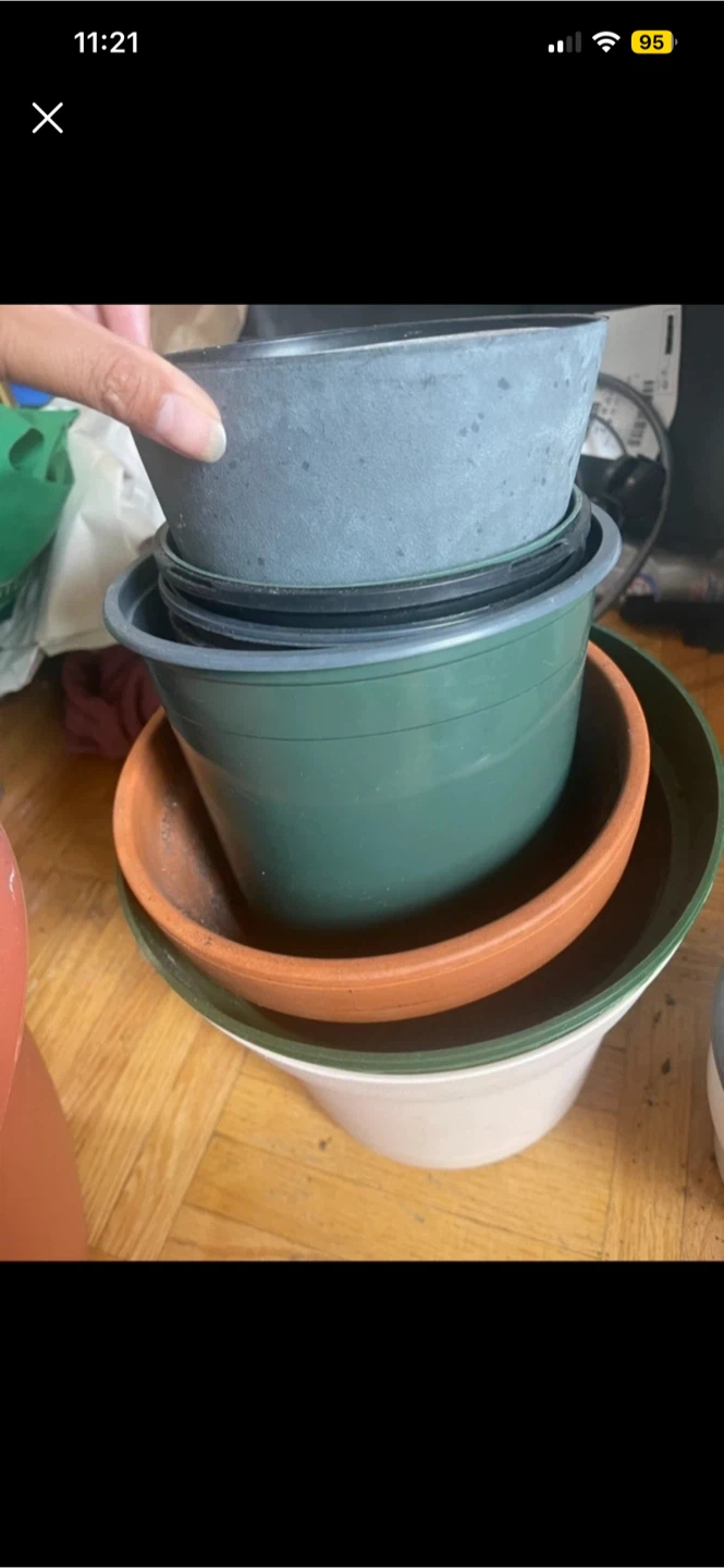 Mixed Lot of Plant Pots