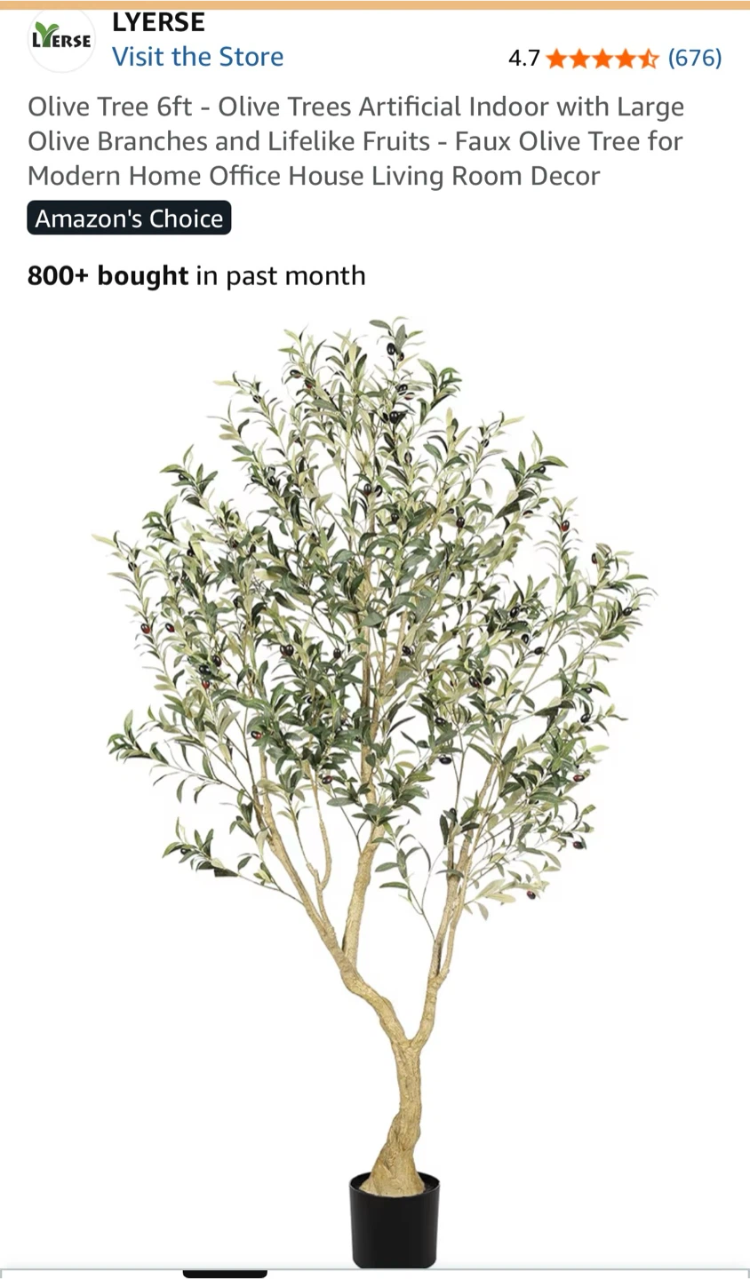 Olive Tree 6ft - photo 2