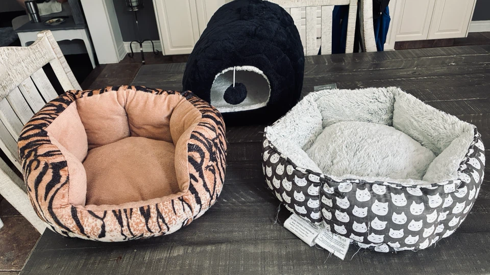 3 cat beds