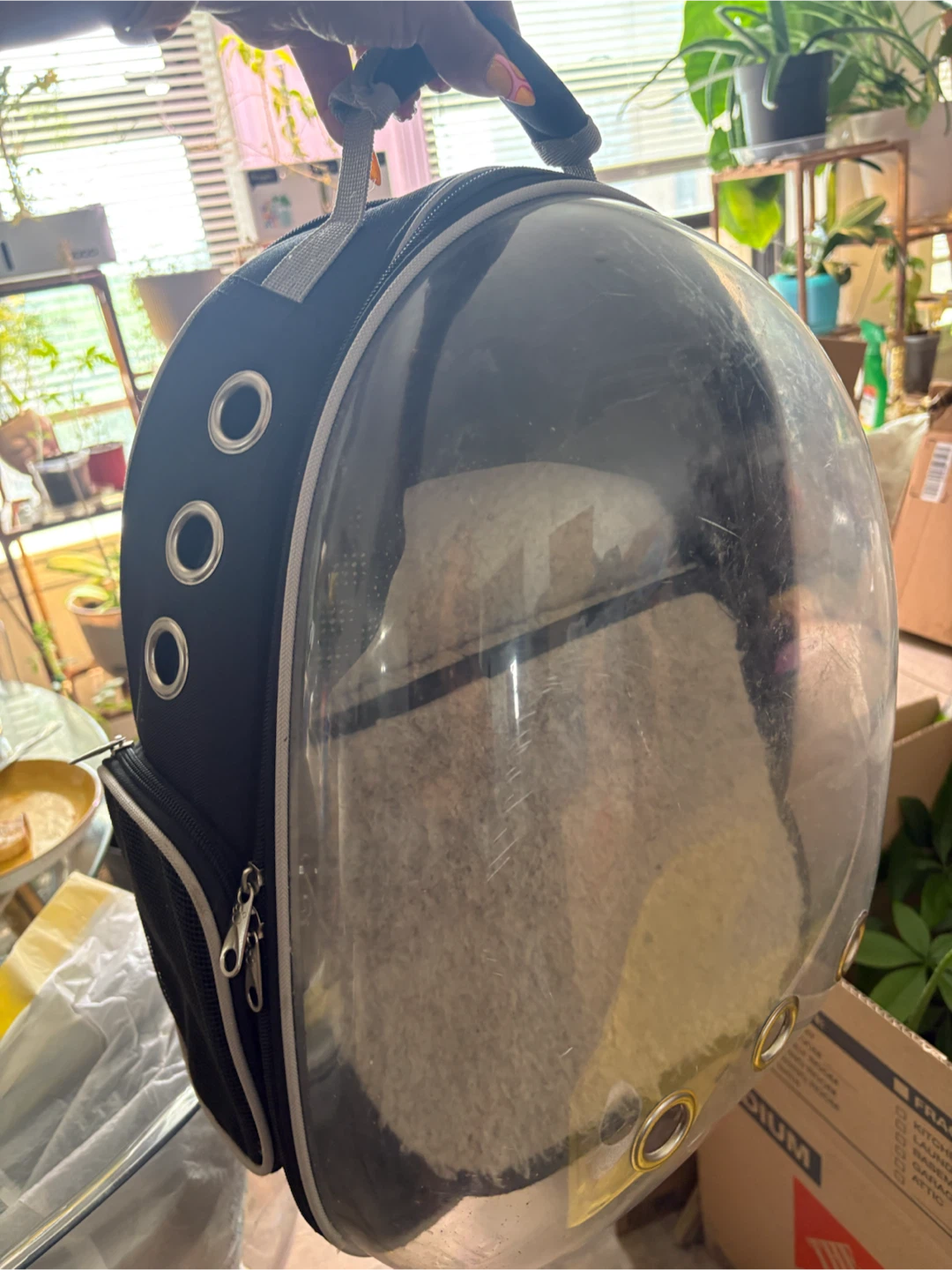 Clear Bubble Pet Carrier Backpack