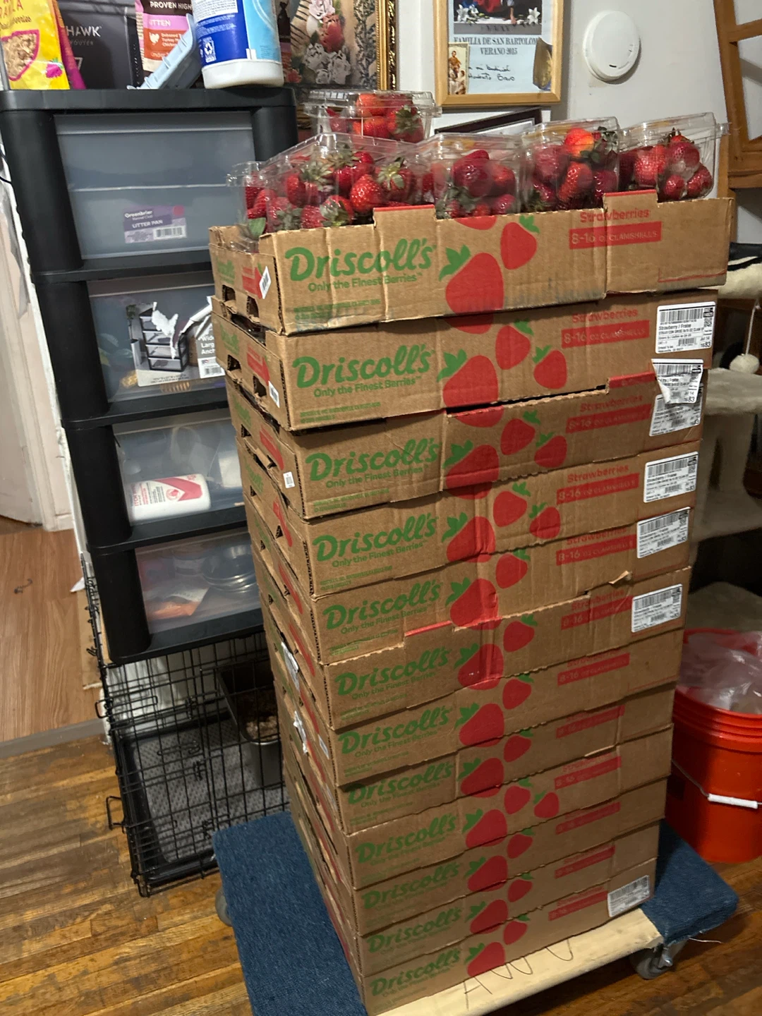Driscoll's Strawberries - 8-10 oz Clamshells