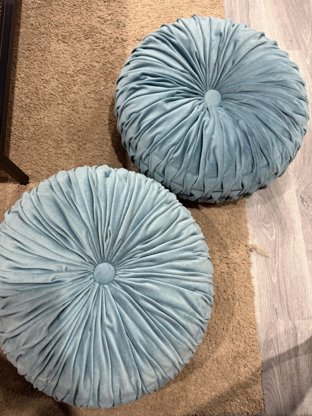 2 Round Velvet Throw Pillows - Light Blue