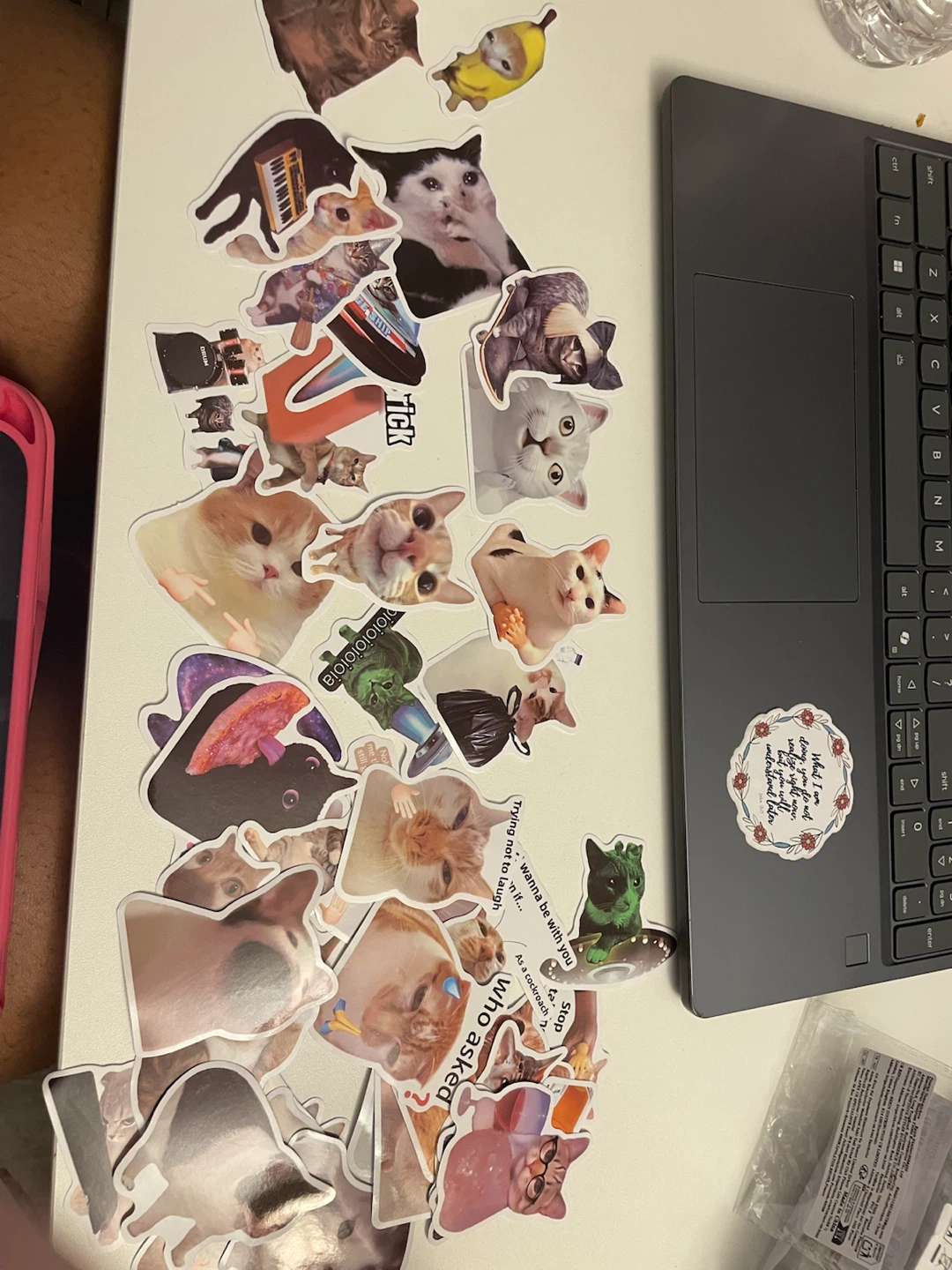 Funny Cat Stickers Lot