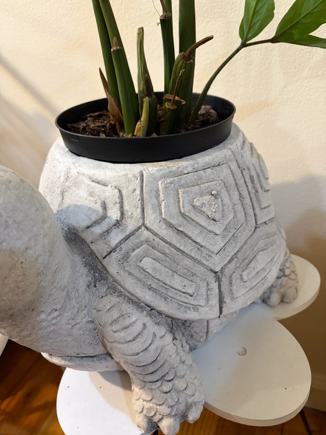Turtle Planter Pot with very healthy ZZ plant - photo 3