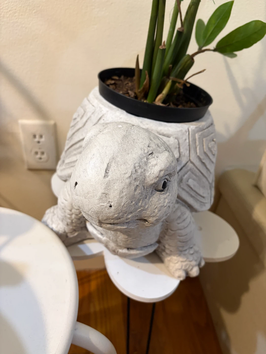 Turtle Planter Pot with very healthy ZZ plant - photo 4