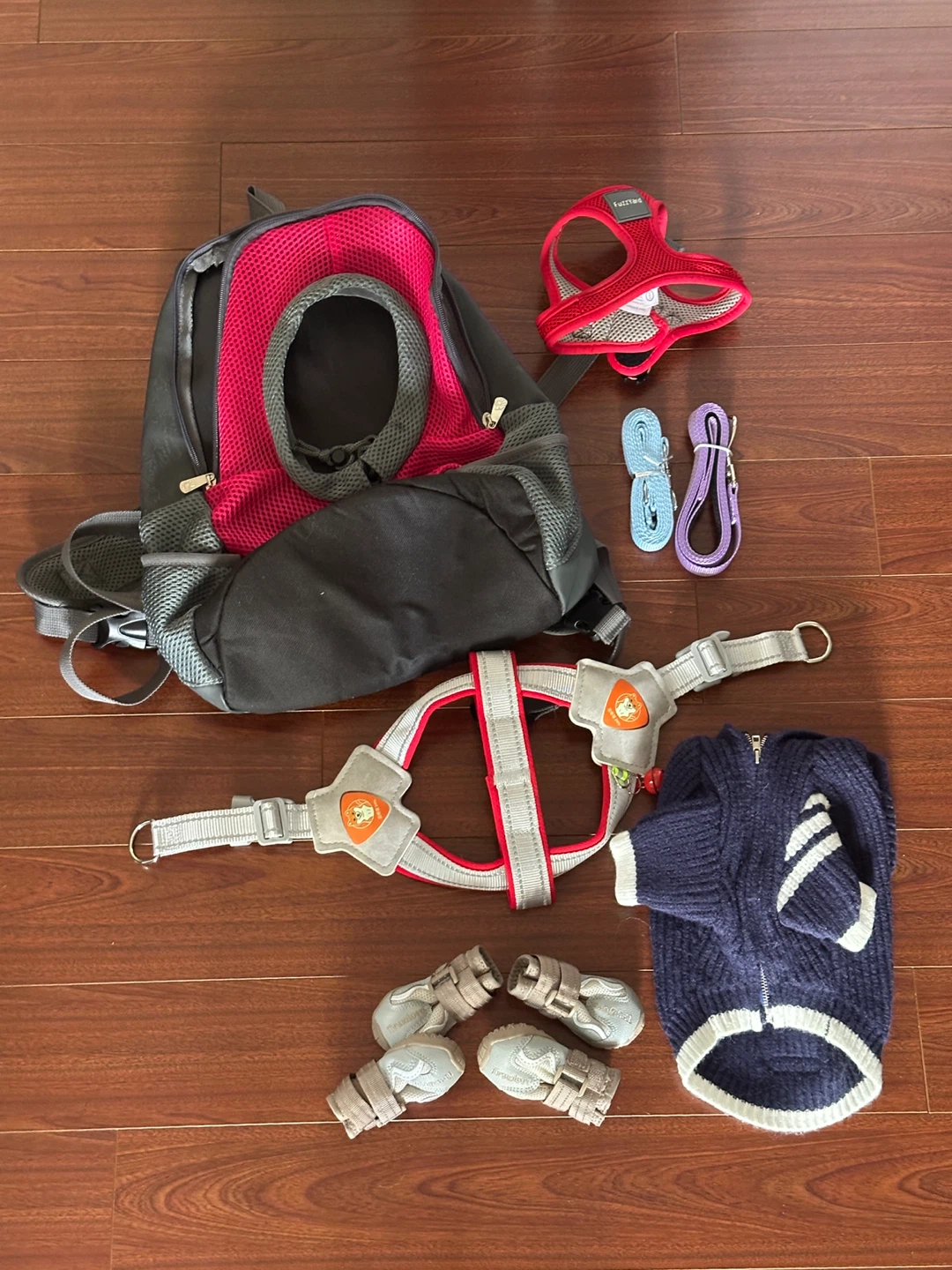 Puppy harness, shoes, clothes, backpack
