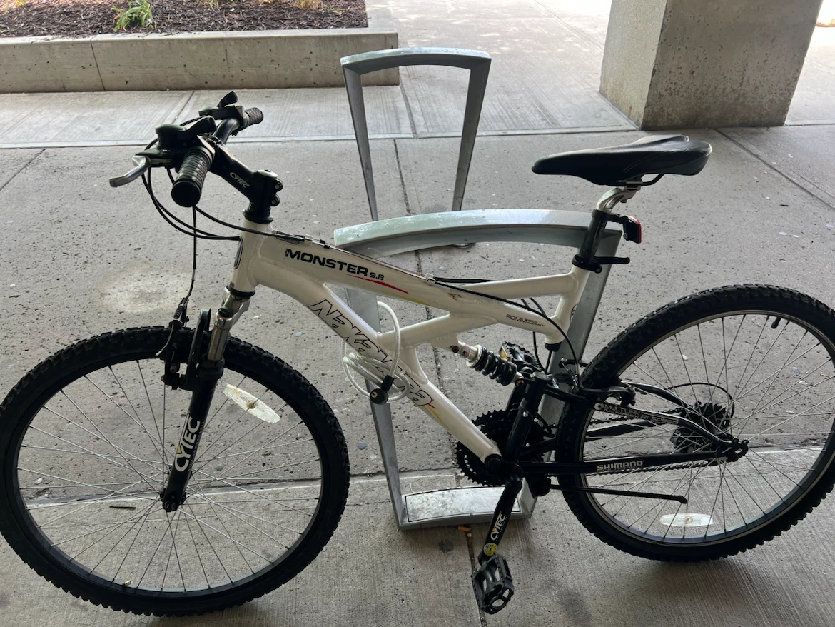 NEVER Monster 2.0 Mountain Bike - photo 3
