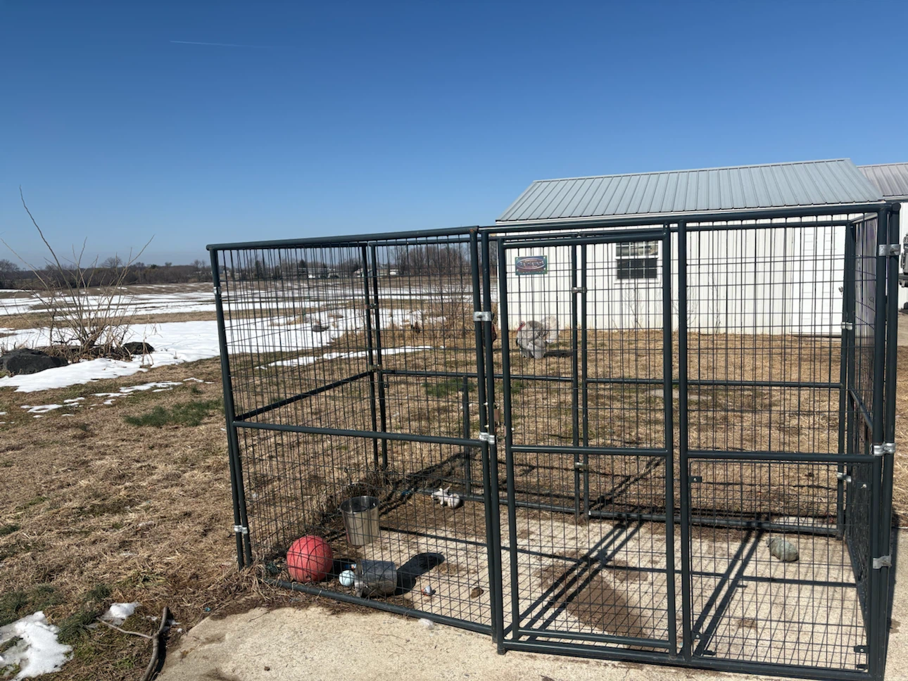 Large dog run