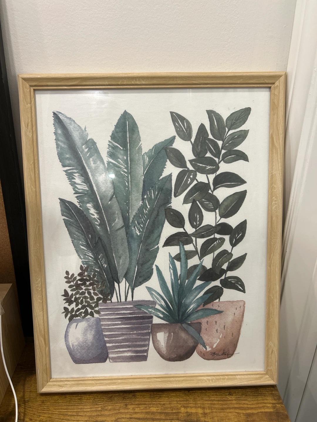 Framed Botanical Print
