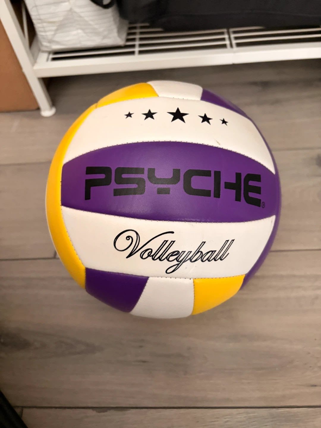 PSYCHE Volleyball - Purple, Yellow, White