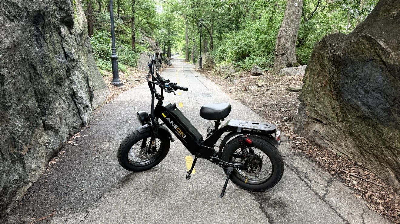 ANIIOKI Electric Bike