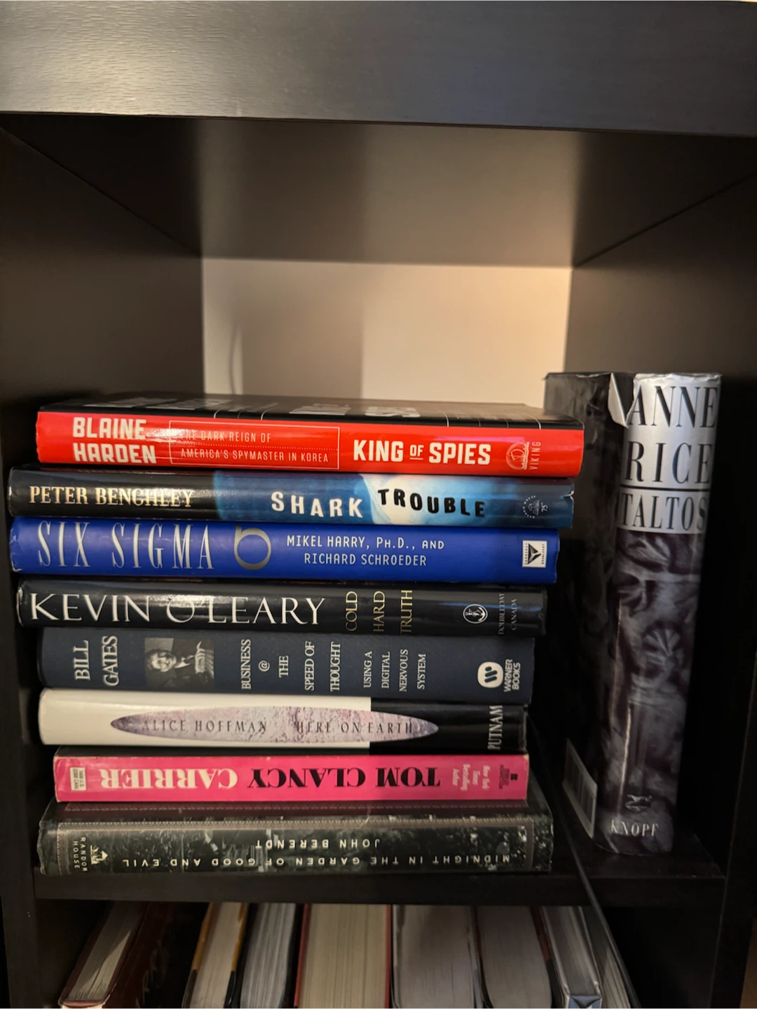 40-50 Books - photo 5