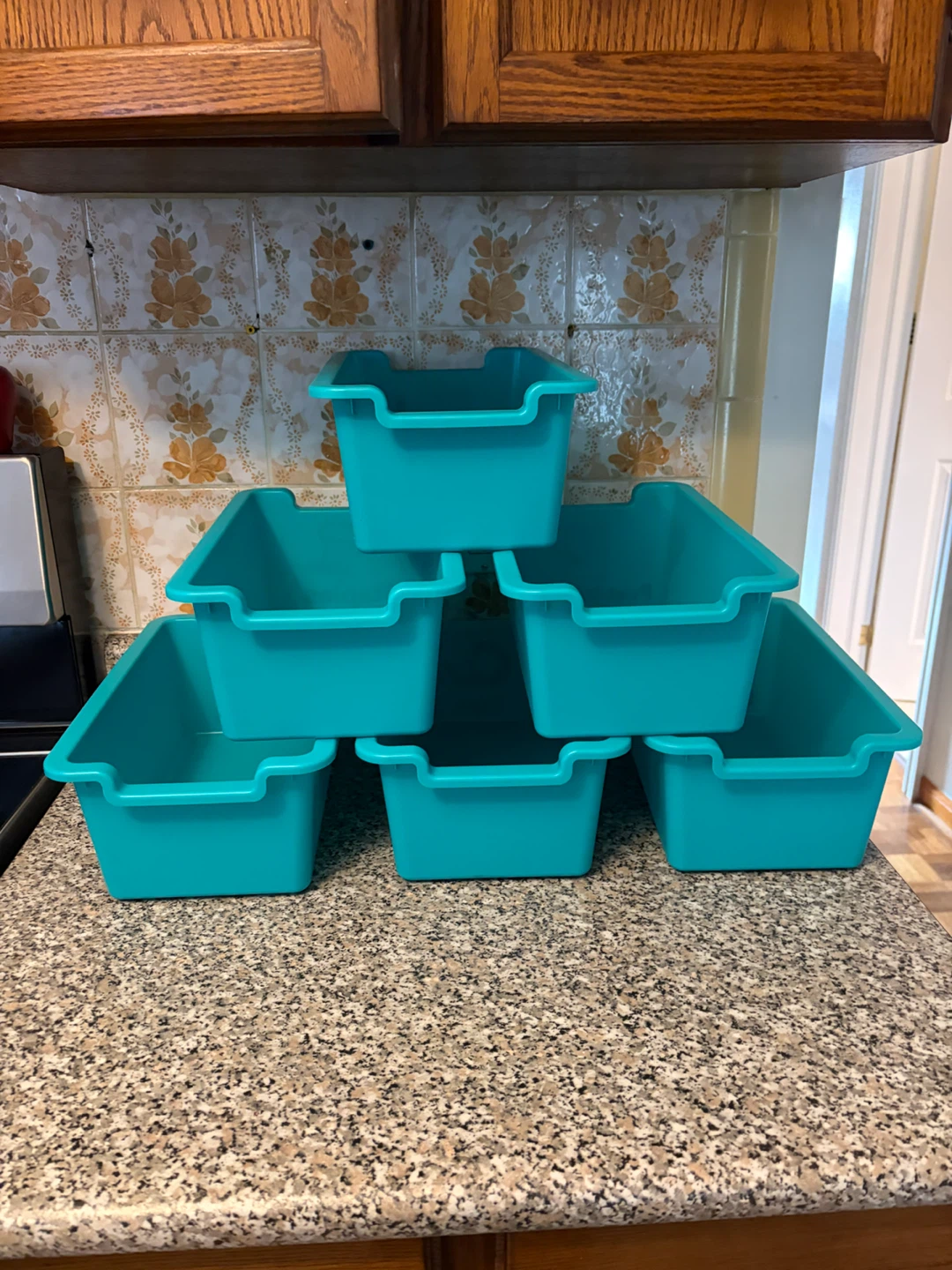 Teal Plastic Storage Bins - Set of 6