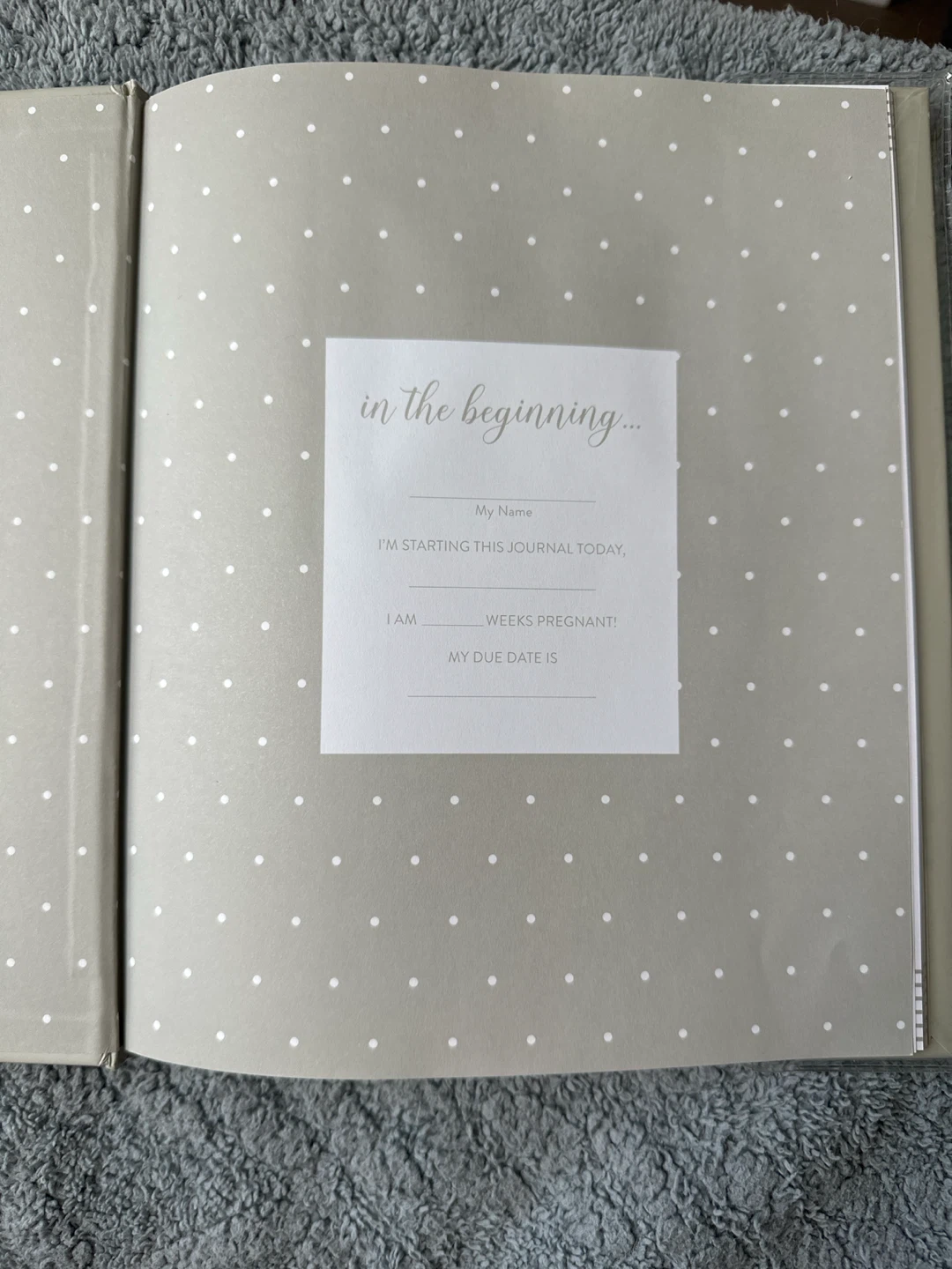 Kate & Milo My Pregnancy Journal - photo 2