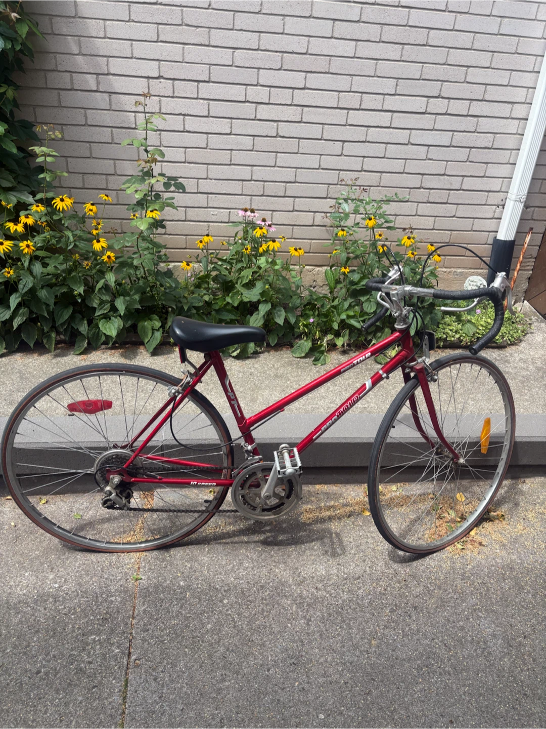 19’ pro tour ladies bike