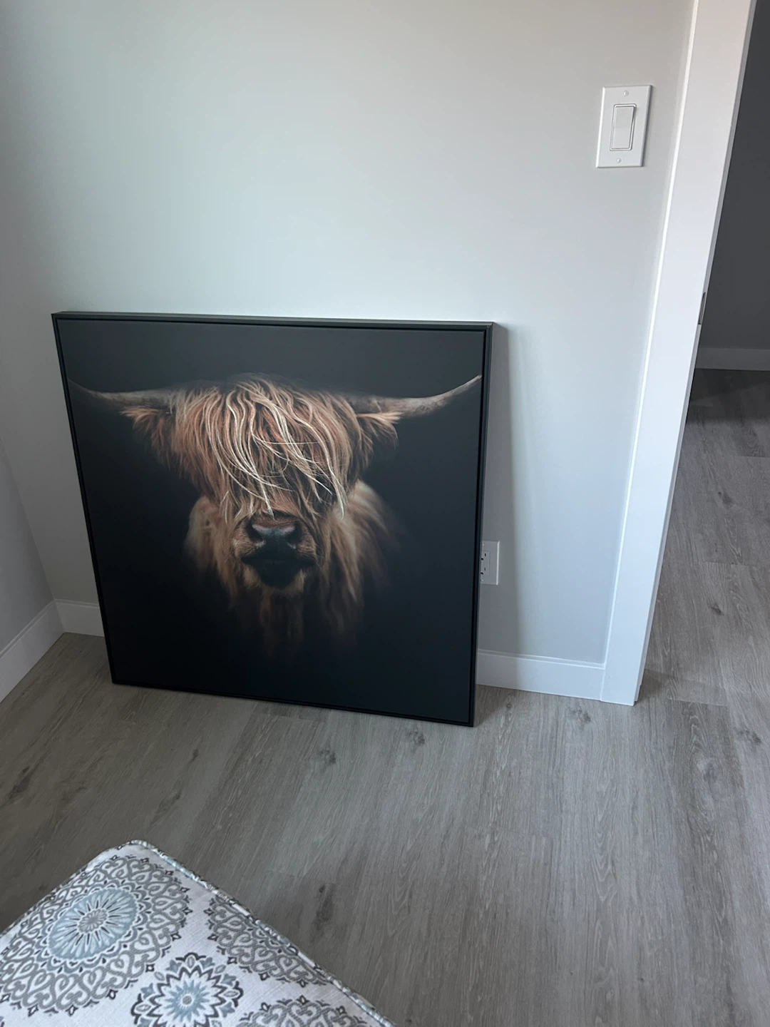 Highland Cow Canvas Print Wall Art